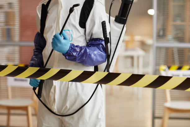 Professional Sewage Cleanup technician working in Cuero, TX